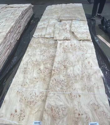 Natural Sliced Cut Poplar Burl Veneer Sheets A Grade For Furniture Decoration