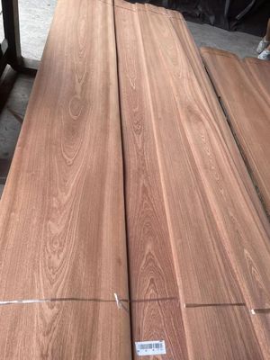 Sliced Natural Crown/Plain Cut Sapelli Veneer Sheet For Plywood