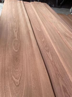 Sliced Natural Crown/Plain Cut Sapelli Veneer Sheet For Plywood