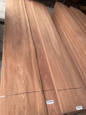 Sliced Natural Crown/Plain Cut Sapelli Veneer Sheet For Plywood