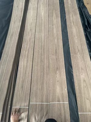 Natural Sliced Cut American Black  Walnut Plain Cut  Veneer Sheet For Plywood