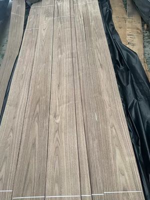 Natural Sliced Cut American Black  Walnut Plain Cut  Veneer Sheet For Plywood