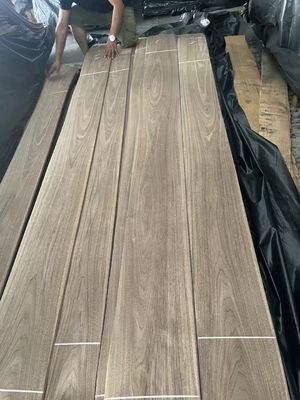 Natural Sliced Cut American Black  Walnut Plain Cut  Veneer Sheet For Plywood