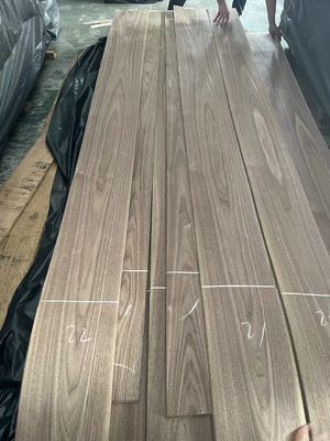 Natural Sliced Cut American Black  Walnut Plain Cut  Veneer Sheet For Plywood