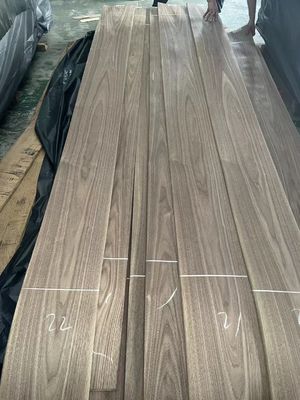 Natural Sliced Cut American Black  Walnut Plain Cut  Veneer Sheet For Plywood