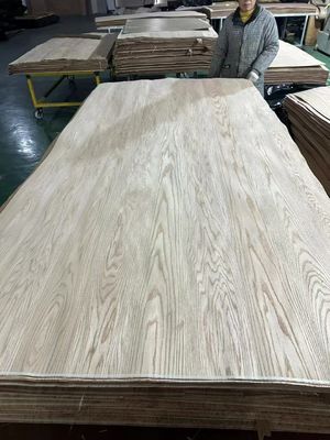Natural Sliced American Red Oak Crown Cut Matching Veneer Sheet