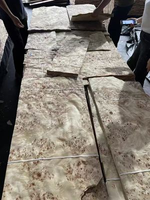 High Quality Mappa Burl Veneer Sheet For Furniture Decoration