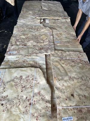 High Quality Mappa Burl Veneer Sheet For Furniture Decoration