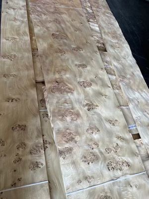 High Quality Mappa Burl Veneer Sheet For Furniture Decoration