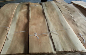 Chipboard Sliced Cut Natural Birch Two Color Wood Veneer Engineered