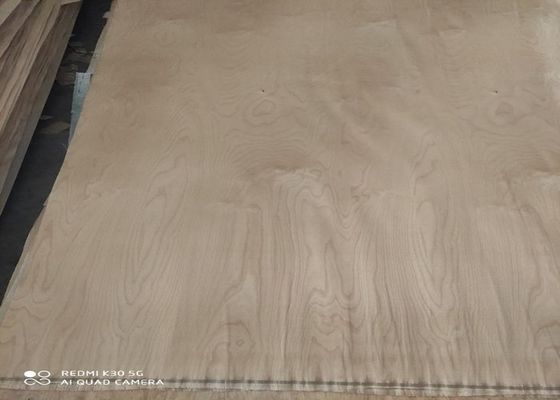 A Grade Rotary Cut White Birch Wood Veneer Sheets 0.18mm 0.22mm