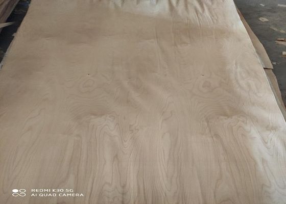 A Grade Rotary Cut White Birch Wood Veneer Sheets 0.18mm 0.22mm