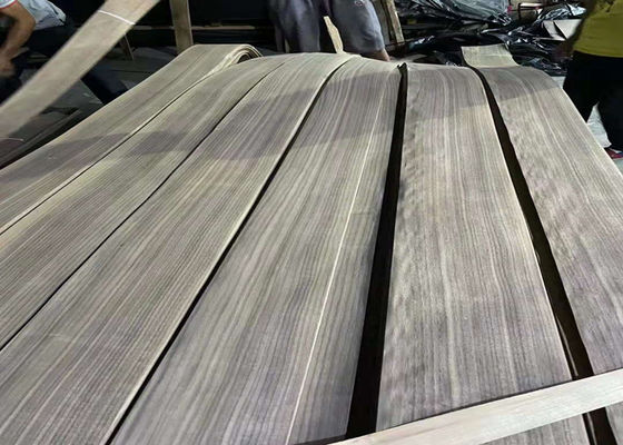 2.5 - 3.8m Length American Black Walnut Veneer Sheet For Plywood