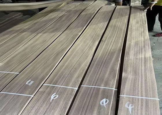 2.5 - 3.8m Length American Black Walnut Veneer Sheet For Plywood