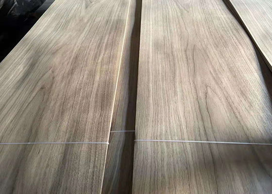 10 - 16% MC Crown Cut Natural Walnut Plywood Sheets