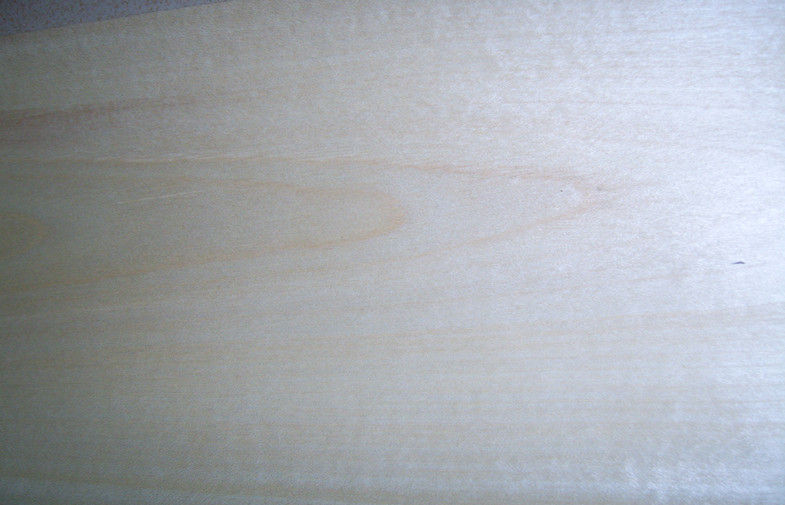 High Grade Birch Wood Veneer Polishing One-Sided Decoration With Rotary Cut