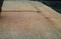 Exotic Ash Burl Wood Veneer Sheets 0.5mm Wood Veneer Paneling