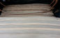 AA Grade Bleached / White Birch Wood Veneer Rotary Cut Constructional