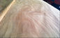 Natural Rotary Cut Okoume Veneer Sheet / wood grain veneer With Ab Grade