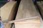 Natural Rotary Cut Birch Veneer Sheet , Yellow rotary cut plywood