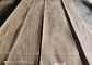 10 - 16% MC Crown Cut Natural Walnut Plywood Sheets